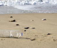 Pollution de la Méditerranée : « inquiétante » dit un rapport sénatorial