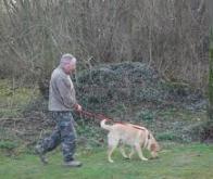 Pour rester en bonne santé, adoptez un chien !