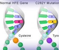 Prédire grâce à l'IA le rôle des mutations génétiques complexes