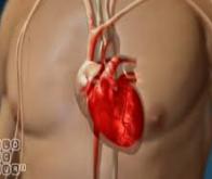 Prédire le risque cardio-vasculaire à partir d'une simple prise de sang