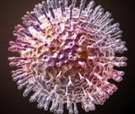Premiers essais très encourageants d'un vaccin contre l’herpès
