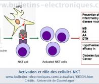 Quand l'organisme se vaccine lui même !