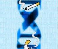 Quand nos gènes nous empêchent d'arrêter de fumer…