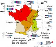 Regards croisés sur l'avenir des forêts françaises face au changement climatique