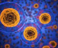 Réveiller les cellules dormantes pour combattre le cancer