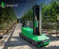 Saint-Malo invente le premier robot cueilleur de tomates