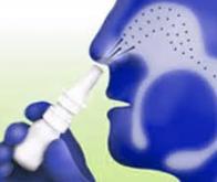 Spray nasal contre le Covid-19 : des résultats prometteurs