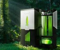 Un bioréacteur à algues pour capter le CO2