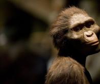 Un changement climatique serait à l’origine de l’extinction d’hominidés