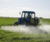 Un lien entre zones rurales, pesticides et Maladie de Parkinson
