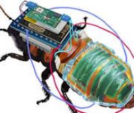 Un micro-robot chinois véloce inspiré des cafards... 