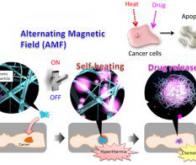 Un nanofilet pour piéger les cellules cancéreuses