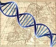 Un nouveau logiciel déduit avec précision l’ascendance continentale à partir de l’ADN et de l’ARN ...
