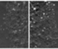 Un nouvel outil d'évaluation de l'efficacité des molécules anticancéreuses