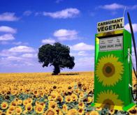 Un quart de carburants verts en 2050 ?