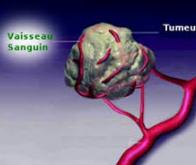 Un robinet pour couper l’alimentation des tumeurs