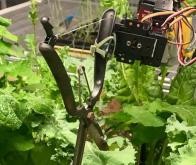 Un robot qui cultive aussi bien qu’un jardinier...avec beaucoup moins d’eau