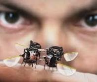 Un robot sauteur qui peut aller partout...