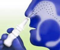 Un spray nasal pour dépister la maladie d'Alzheimer