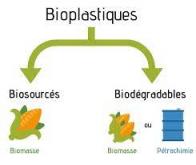 Un substitut au plastique PET fabriqué à partir de biomasse