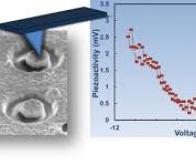 Un système piézoélectrique nanométrique