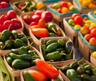 Une alimentation saine peut diminuer les douleurs chroniques