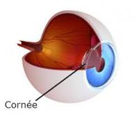 Une cornée artificielle pour recouvrer la vue…