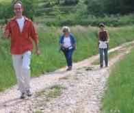 Une demi-heure de marche par jour : jusqu'à sept années de vie gagnées !