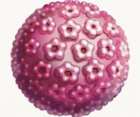Une étude britannique confirme l'efficacité de la vaccination contre le papillomavirus