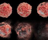 Une étude relie la voie de la mort cellulaire au phénomène de résistance du cancer