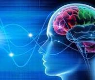 Une IA capable de modéliser les ondes cérébrales en vidéos pour étudier notre fonctionnement ...
