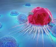Une manipulation génétique des cellules cancéreuses du côlon pour renforcer les effets de la ...
