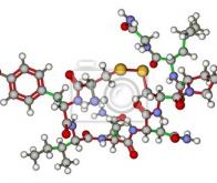 Une meilleure biodisponibilité pourrait améliorer l’efficacité de l’ocytocine dans l’autisme