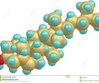Une molécule prometteuse qui bloque l'absorption du cholestérol