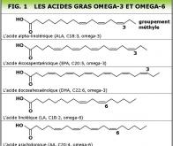 Une mutation génétique du récepteur des acides gras oméga-3 favorise l'obésité