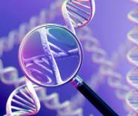 Une mutation génétique rare pourrait permettre de guérir la maladie d’Alzheimer