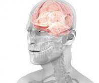 Une neuroprothèse pour améliorer la mémoire !