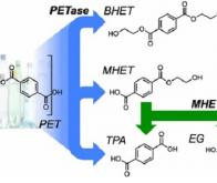 Une nouvelle enzyme synthétisée par hasard dégrade efficacement le plastique