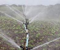 Une première en France : des vergers arrosés avec l’eau traitée d’une station d’épuration