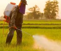 Une vaste étude confirme les risques de cancer encourus par les agriculteurs français