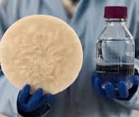 Utiliser la biomasse pour produire de l’eau potable à partir de l’air ambiant