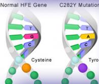 Utiliser les anomalies génétiques contre le cancer