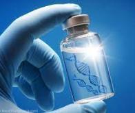 Vers un vaccin à ADN contre le VIH et le cancer du foie