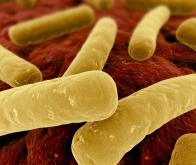 Vers une nouvelle classe d'antibiotiques efficaces contre les bactéries résistantes