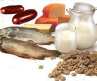 Vitamine D contre psoriasis : les mécanismes d'action mieux compris