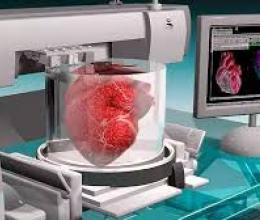La bio-impression d'organes pourrait devenir une réalité d'ici 2035