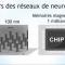 Les premiers nano-neurones magnétiques Les premiers nano-neurones magnétiques