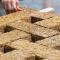 Un matériau de construction composé de biodéchets de canne à sucre