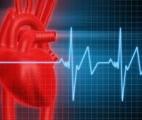 3 protéines pour minimiser les dommages de l'infarctus