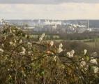 Air Liquide va expérimenter la capture et la valorisation du CO2 